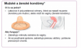 /album/fotogaleria-nehormonalna-antikoncepcia/v-png/